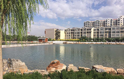 ���ɹ��ں��к���������˺��ۺ���������