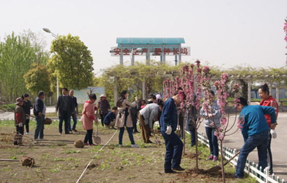 ���ݹ�����չֲ���˶�