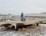 ��ɡ��������