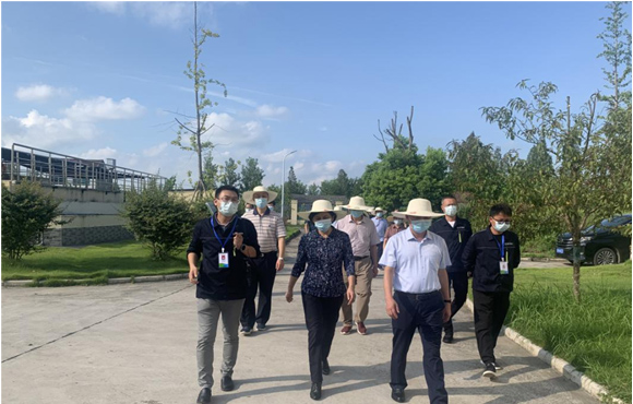 ����ʡ��Э�򵼼�ר�Ҹ����������Ž���ˮ����չ����