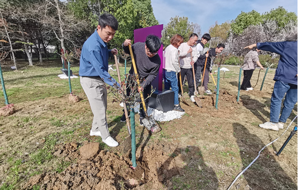 ֲ������������������������ح�춹Ǯ�� - ��ȫ�ɿ��ĸ����ʽ����Ǯ����չϵ������ֲ���˶�