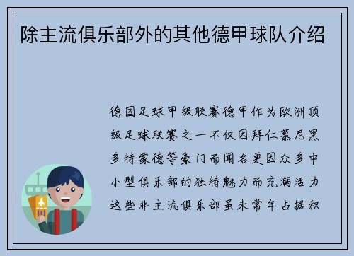 除主流俱乐部外的其他德甲球队介绍