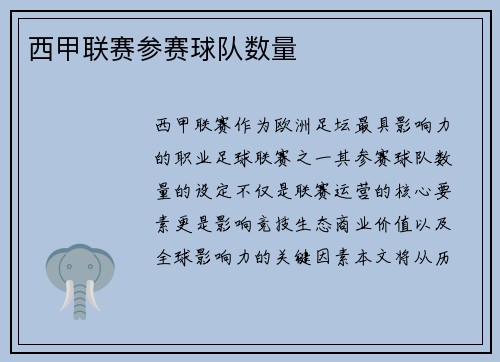 西甲联赛参赛球队数量
